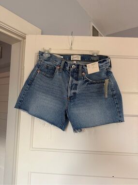 New Universal Thread 90s Baggy Shorts